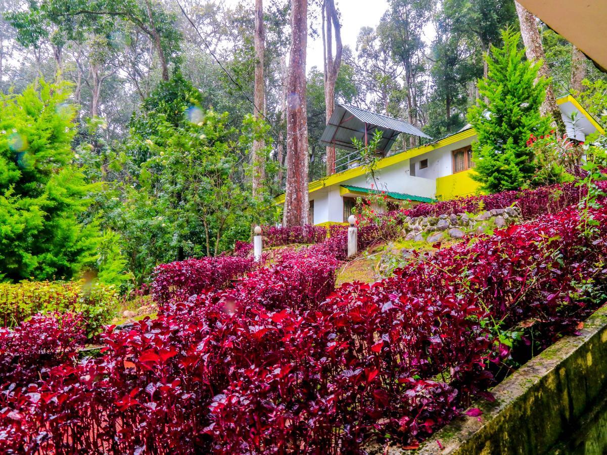 Oyo 4651 Woodpecker Resort Munnar Εξωτερικό φωτογραφία